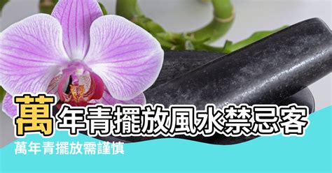 萬年青風水|萬年青擺放風水禁忌 客廳可以放萬年青嗎